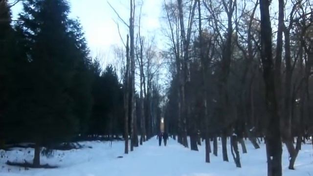 Magic Winter Forest смотреть онлайн