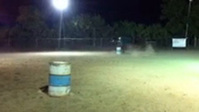 July 9, 2013 First Exhibition Rita;  3 Yr Old Filly