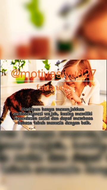 ini dia 3 fakta unik kucing yg perlu kalian semua ketahui #faktaunik #kucing #shorts #subscribe смотреть онлайн