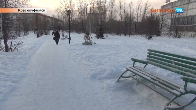 Сосна Нарез 23 12 14