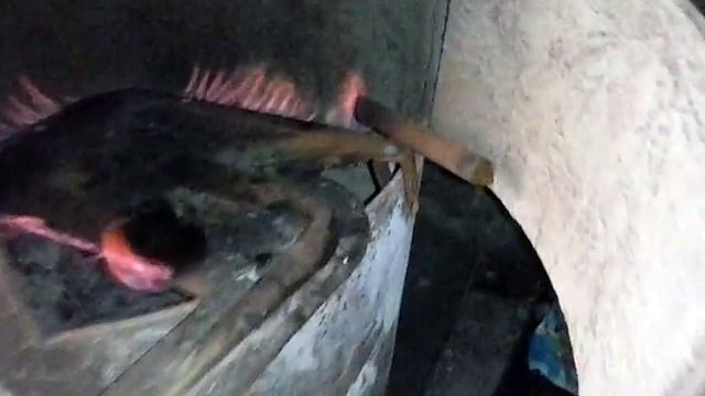 Пиролизная установка смотреть онлайн