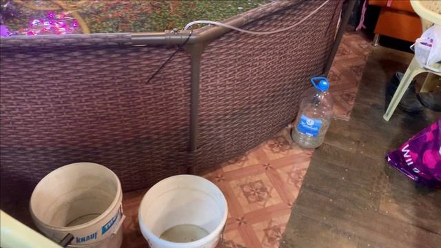 Пруд в гараже.Будем выращивать лотосы.Разные. смотреть онлайн