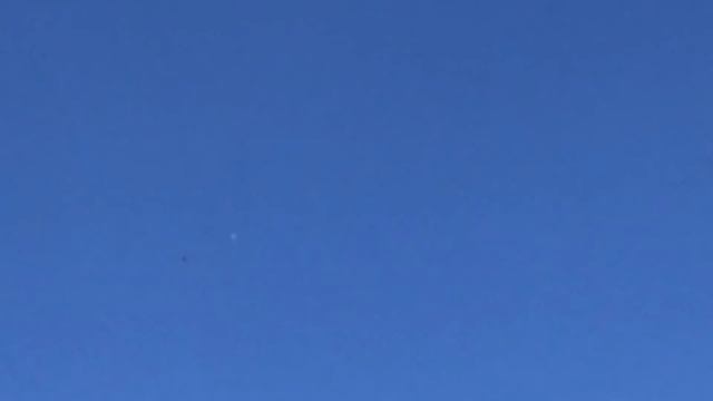 Сокол прилетел смотреть онлайн
