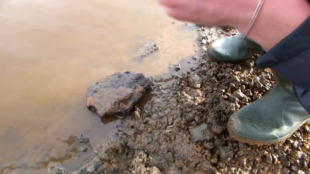 Обычный монетный день | добиваем пляж. Часть 2 смотреть онлайн