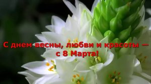 С днем весны, любви и красоты — с 8 Марта!