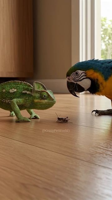 Ара против хамелеона: противостояние из-за крикета смотреть онлайн