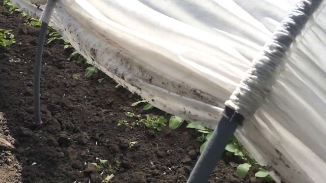 Парники для рассады смотреть онлайн