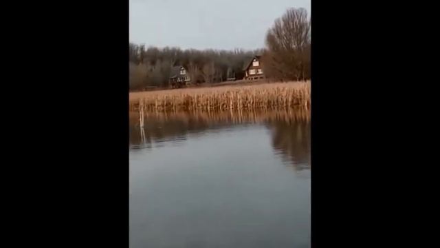 Левобережье Волги