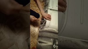 распаковка телевизор Evo 43 дюйма