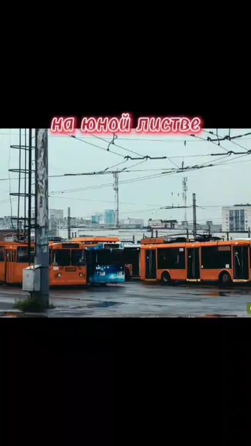 я бы отдал почти все, чтобы вновь проехаться на троллейбусе 😢😢😢🥀🥀🥀 #пермь #транспорт #троллейбусжив смотреть онлайн
