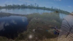 СЫРТЬ ПОШЛА! Ловля Сырти, Вимбы или Рыбца на реке Луга!Отличный клев Сырти.#сырть#вимба#рыбец