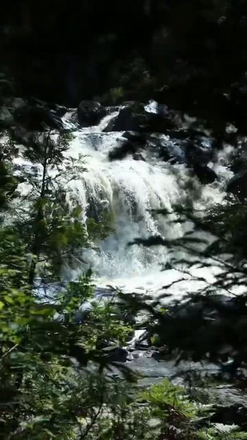 Check out the waterfalls of Lake Superior Provincial Park! #shorts смотреть онлайн