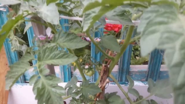 огород смотреть онлайн
