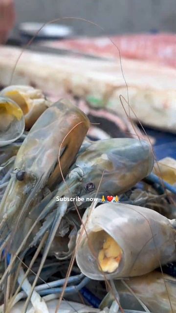Big Prawns In Ghazipur Machli Mandi ￼#shortvideo #fishcutting #rrrm #RRRM