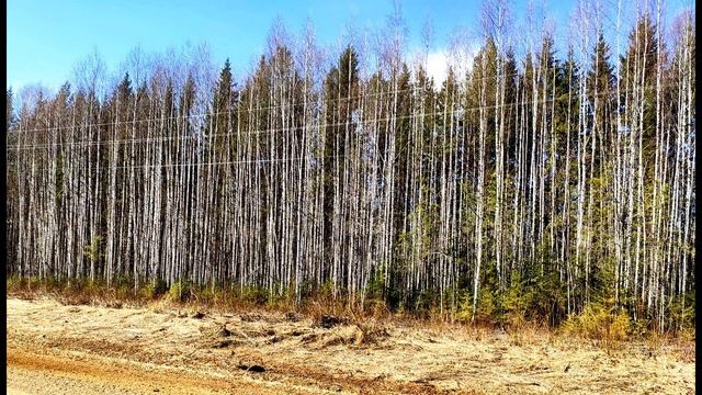 А  Кушнер  То, что мы зовём душой #философскаялирика #поэты20века #современнаяпоэзия