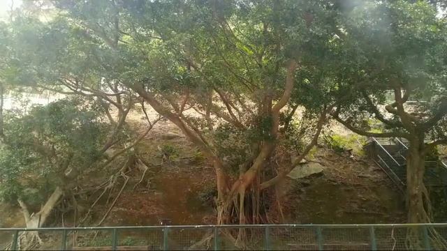 Irene Cerillo Channel Is Live!happy Mother's Day SLS Update.thank U.