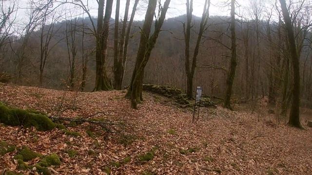 Походы Сочи 🌿Ореховский водопад Нижний Ажекский водопад ручей Сванидзе🌿 подробное описание маршрута