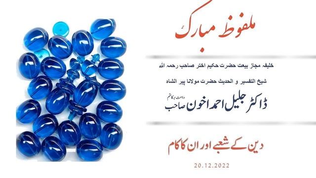 Hazrat Maulana Dr. Jalil Ahmad: دین کے شعبے اور ان کا کام смотреть онлайн