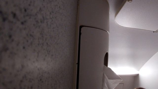 Обзор туалета в самолёте смотреть онлайн