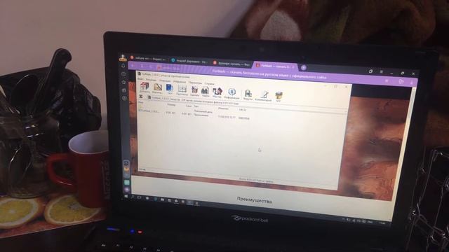 19 мая 2021 г. смотреть онлайн