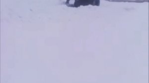 клин на мтз 892.2 боковой отвал