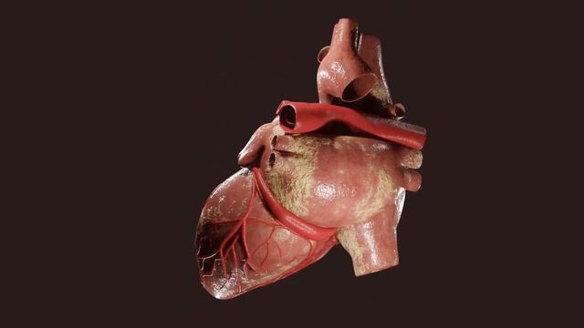 3d heart modeled and textured in blender 3.4 смотреть онлайн