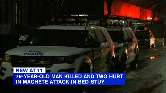 79-year-old killed in Brooklyn machete attack; 2 others injured смотреть онлайн