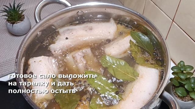 Растения - история и культура