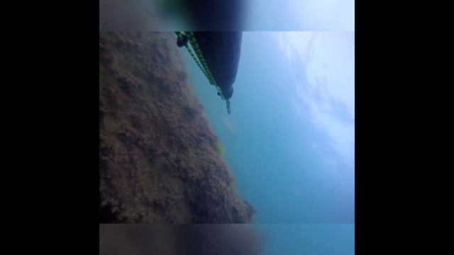 Кутум. подводная охота