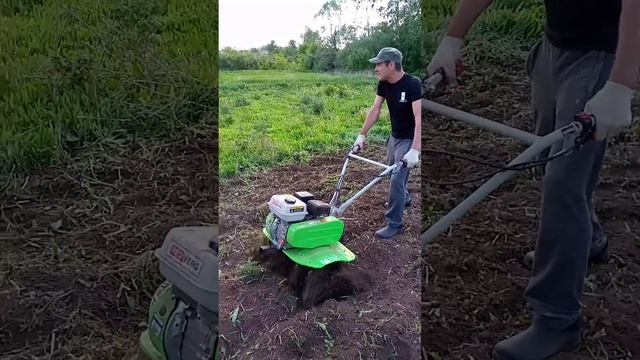 19 февраля 2024 г. смотреть онлайн