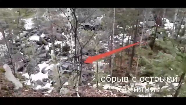 Парк Каменный бор Почему горожане хотят детский сад в другом месте, а власти пр смотреть онлайн
