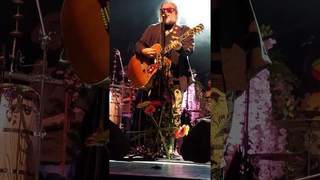 Сокол. БГ+, Белград, 30.04.2024