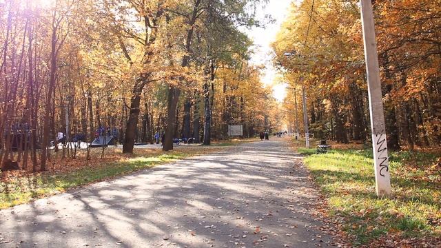 ОСЕНЬЮ В ЛЕСУ 🍂🍁 смотреть онлайн