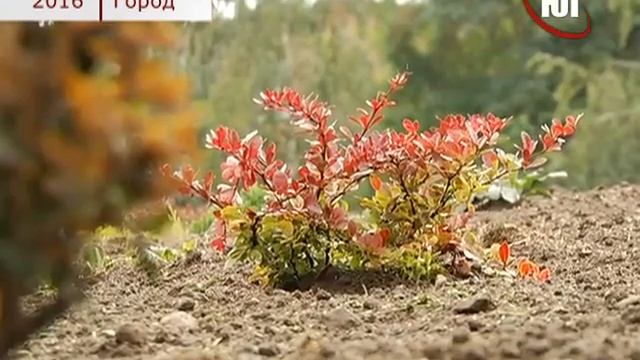 БЕРДЯНСК 04 10 2016 АЛЬПИЙСКАЯ ГОРКА СНХР смотреть онлайн