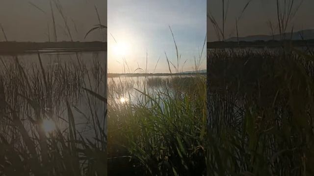 золотая осень смотреть онлайн
