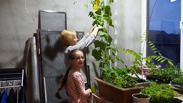 1 огурец смотреть онлайн