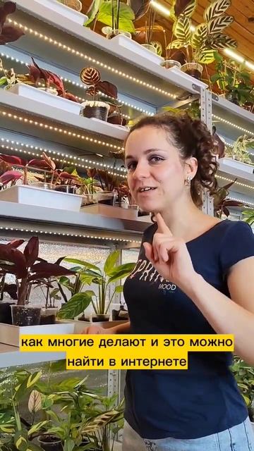 У меня скидки! #огород #дача #дачныеидеи #садоводство #дачаогород смотреть онлайн