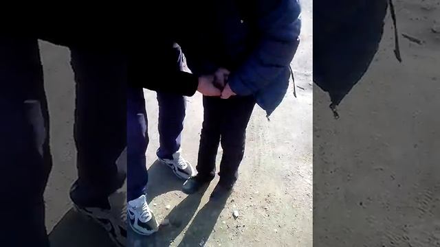 VID_20131125_133232.3gp смотреть онлайн