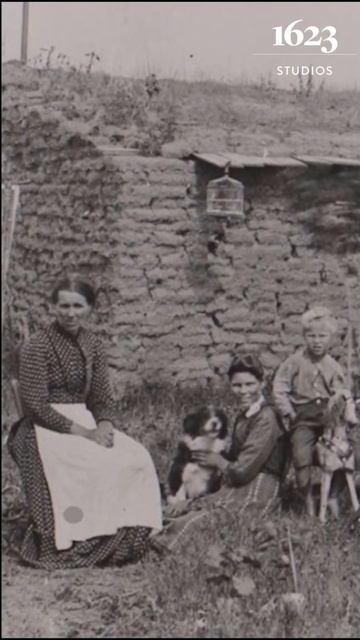 Timeline: Cape Ann - The Hermit of Ravenswood Park смотреть онлайн