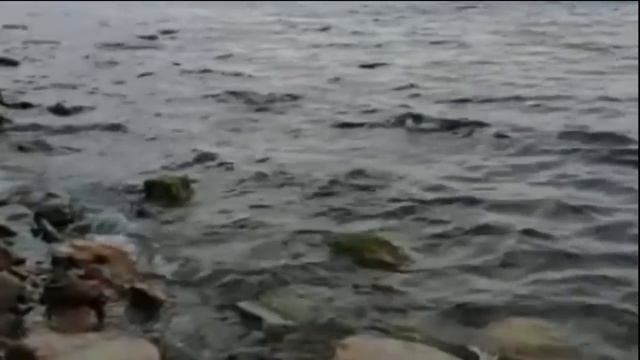 Rossiyada buzuqlik qilgan eri bor ayol | Россияда бузиқлик қилган эри бор аёл смотреть онлайн