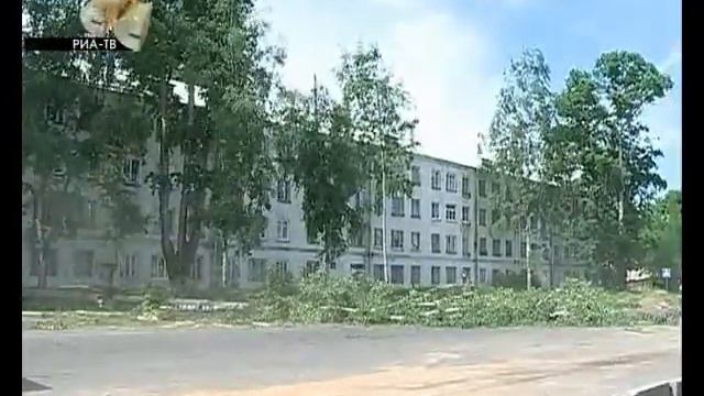 В Рыбинске деревья пилят.flv смотреть онлайн