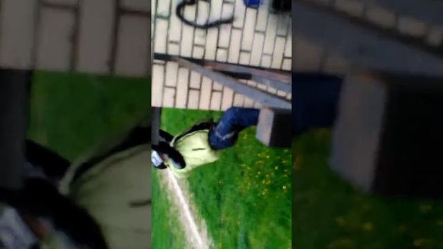 Палят смотреть онлайн