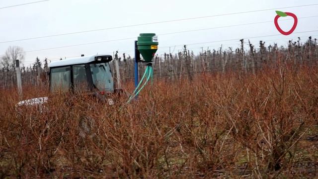 Borówka amerykańska - zalecenia uprawowe przed sezonem смотреть онлайн