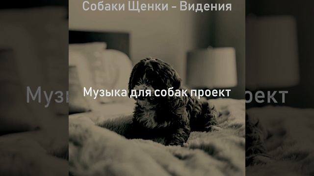 Видения (Спящие собаки)