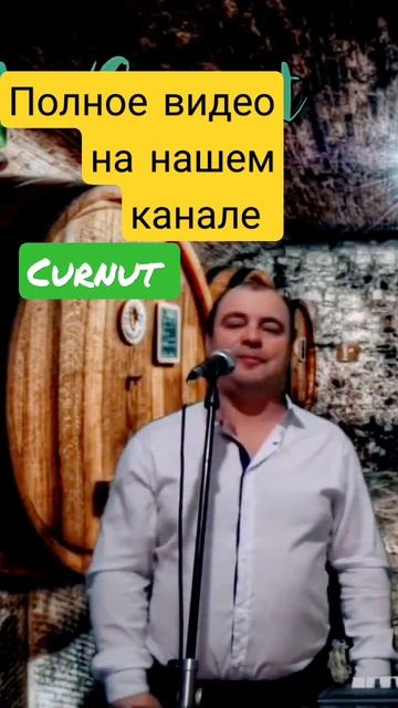 Баллада полобокулуй #curnut #курнуц смотреть онлайн