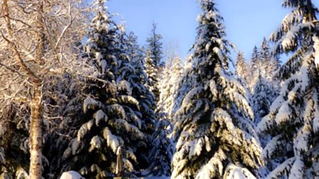 Зима. Чудесная пора! Фотозарисовка. смотреть онлайн