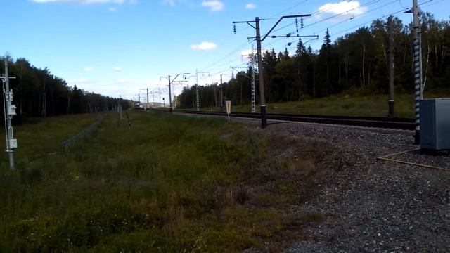 Sapsan karyakinskaya смотреть онлайн