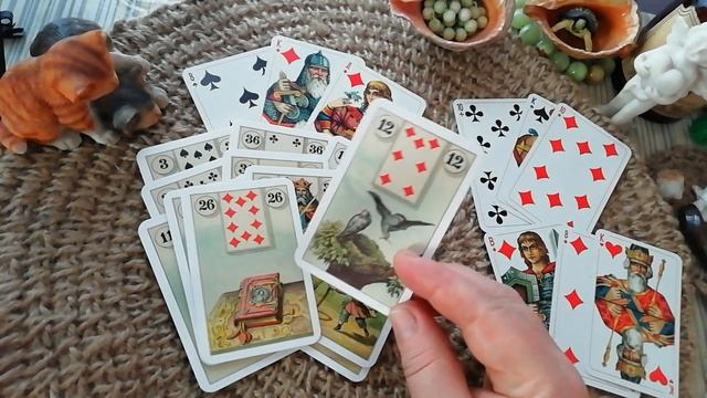 Ух ты!!! Короли в поле внимания!!! 🧚♂️💫👍💥🕊️💌🧙♀️💯🍮#таро #leoina #taro #love #tarotcard