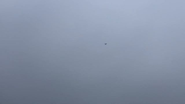 3Dprint LA5 650mm 210g смотреть онлайн