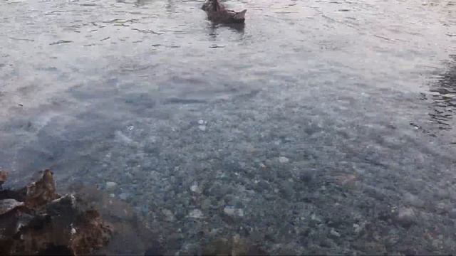 TUZDELEN Azmak Çayı / Akyaka / Ula - MUĞLA смотреть онлайн